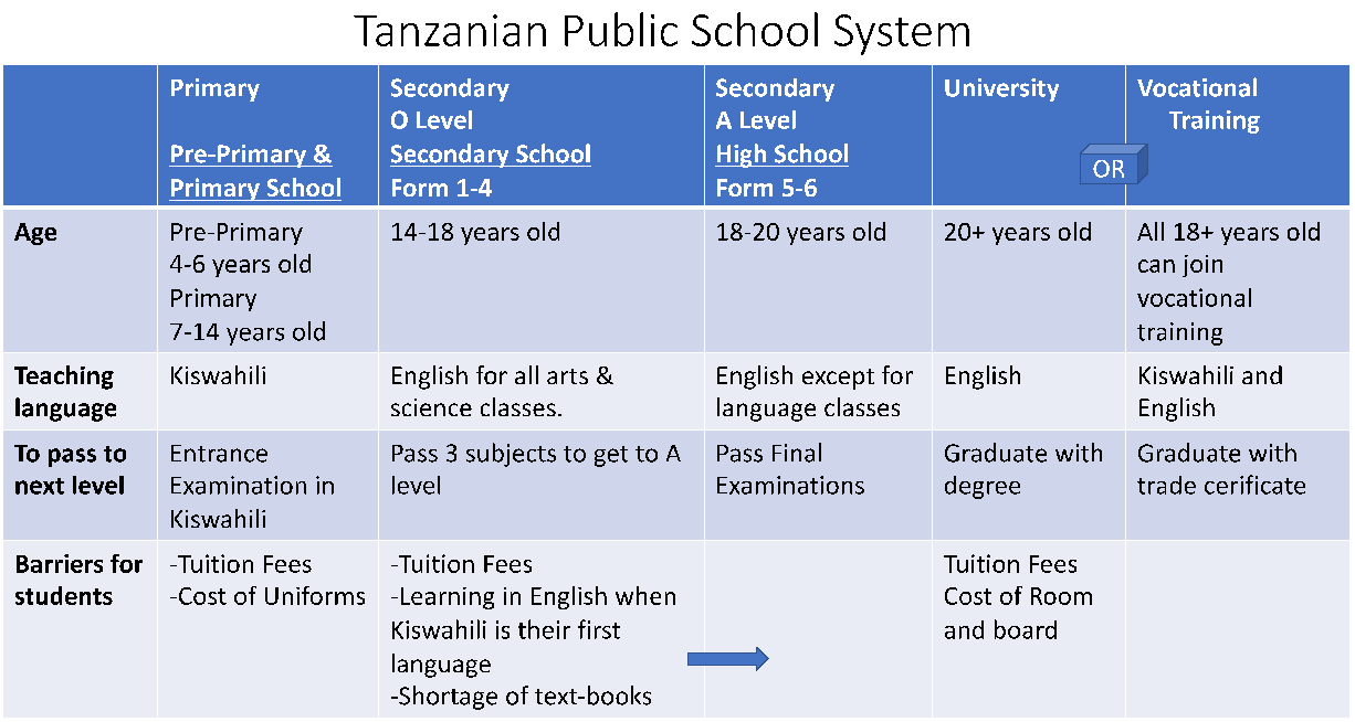 Tanzanian Public School Sytem